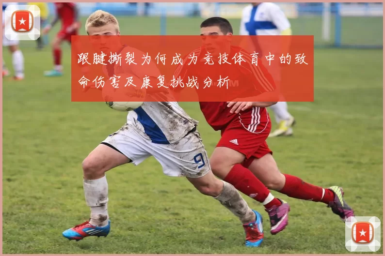 跟腱撕裂为何成为竞技体育中的致命伤害及康复挑战分析